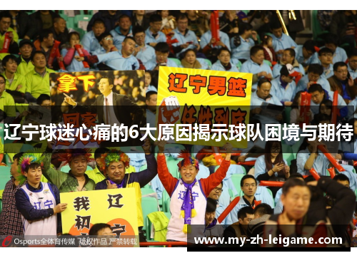 辽宁球迷心痛的6大原因揭示球队困境与期待
