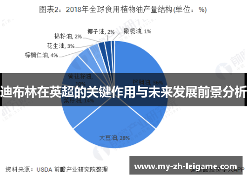 迪布林在英超的关键作用与未来发展前景分析 迪布林在英超的关键作用与未来发展前景分析