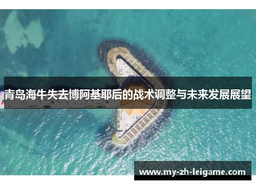 青岛海牛失去博阿基耶后的战术调整与未来发展展望