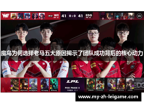 魔鸟为何选择老马五大原因揭示了团队成功背后的核心动力